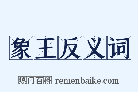 象王反义词是什么意思的图片